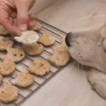 Receita de Biscoitos Naturais para Cães Alérgicos